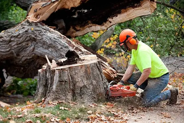 "A real tree trimmer, or construction worker at work outside.Shot with Canon 1Ds Mark II, image processed from a 16 bit RAW file."
